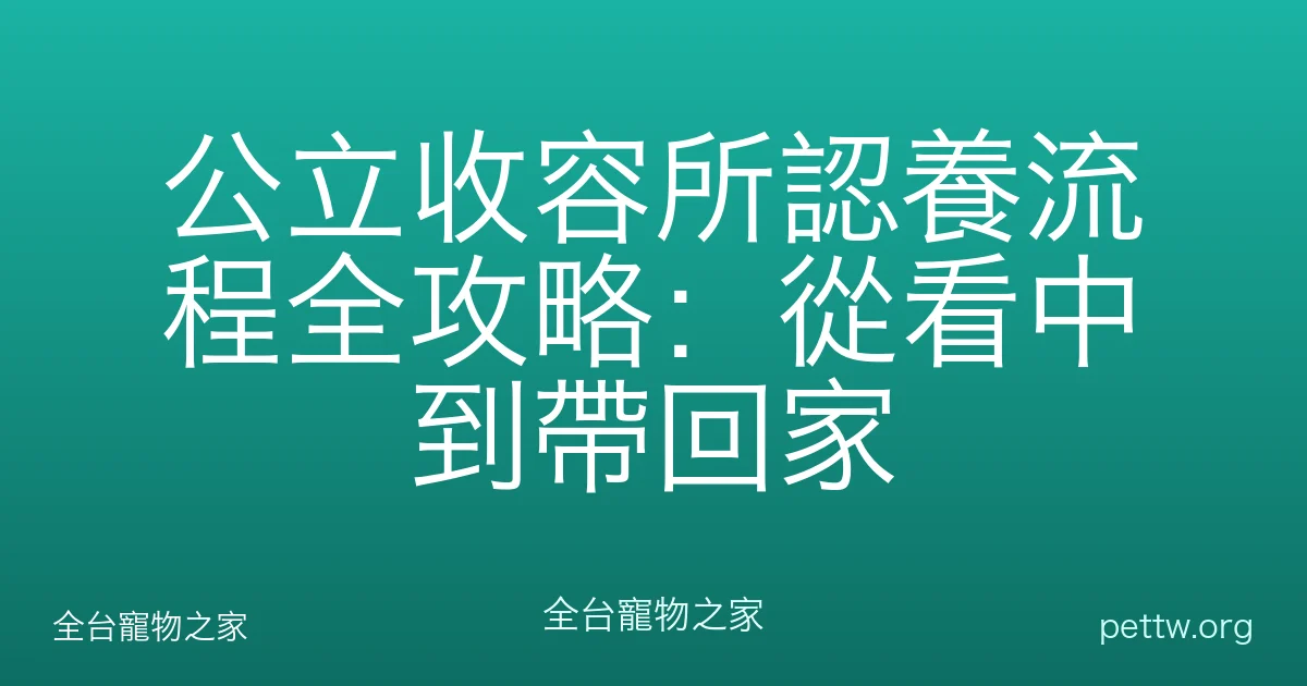 公立收容所認養流程全攻略：從看中到帶回家