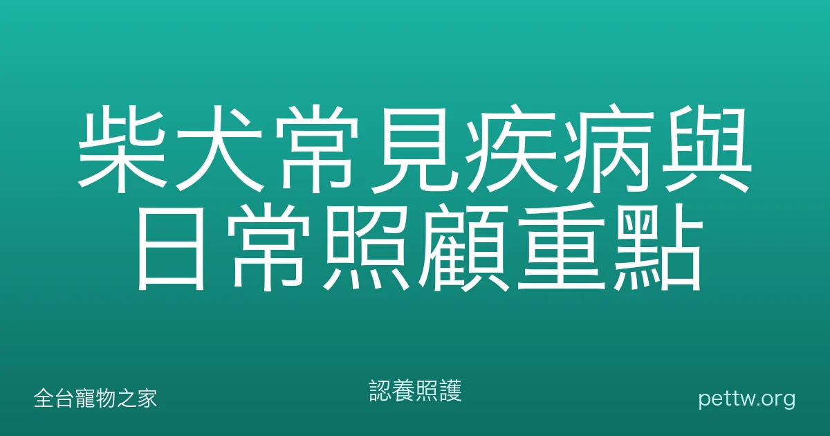 柴犬常見疾病與日常照顧重點
