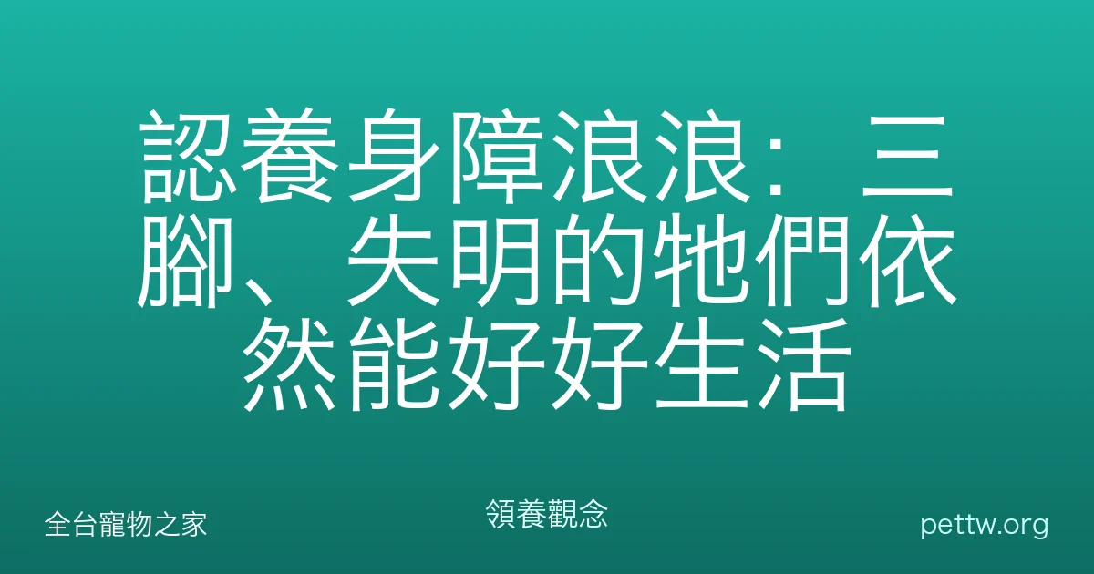 認養身障浪浪：三腳、失明的牠們依然能好好生活