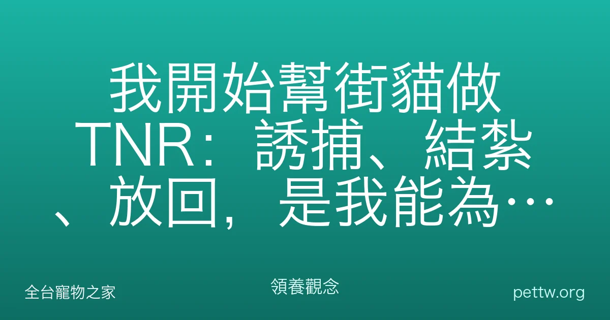 我開始幫街貓做 TNR：誘捕、結紮、放回，是我能為牠們做的溫柔