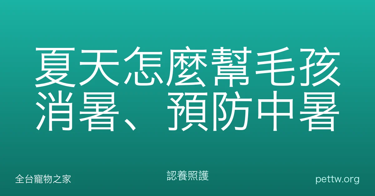 夏天怎麼幫毛孩消暑、預防中暑