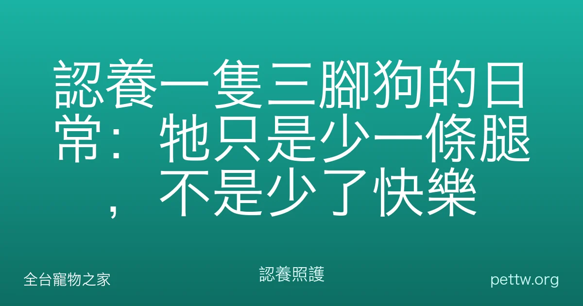 認養一隻三腳狗的日常：牠只是少一條腿，不是少了快樂