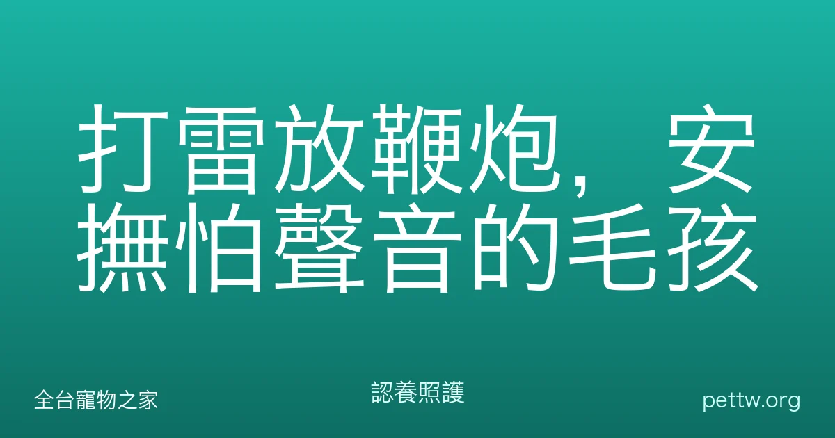打雷放鞭炮，安撫怕聲音的毛孩