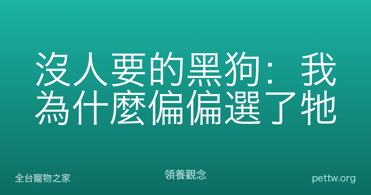 沒人要的黑狗：我為什麼偏偏選了牠