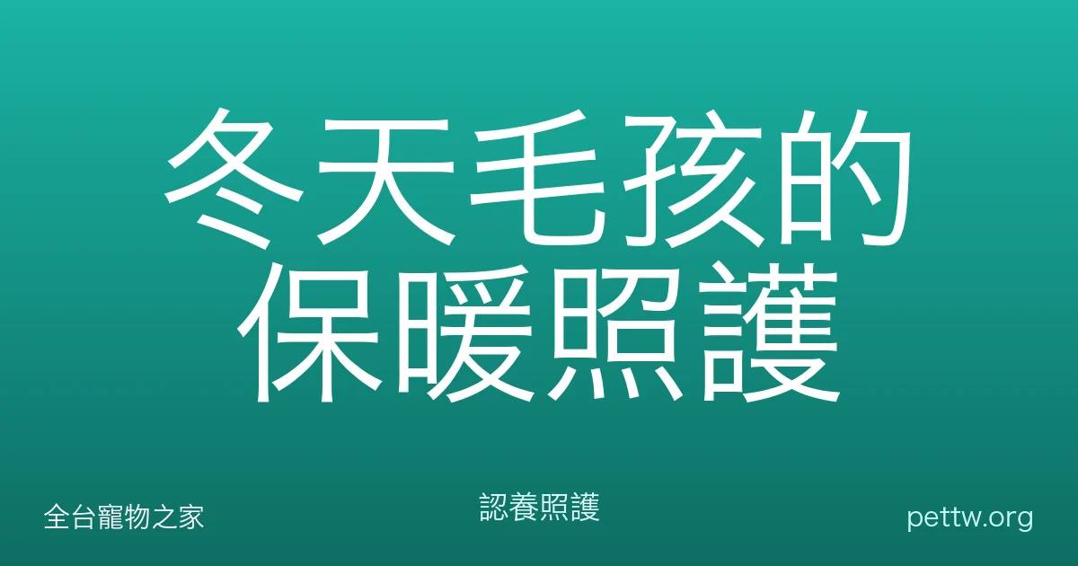 冬天毛孩的保暖照護