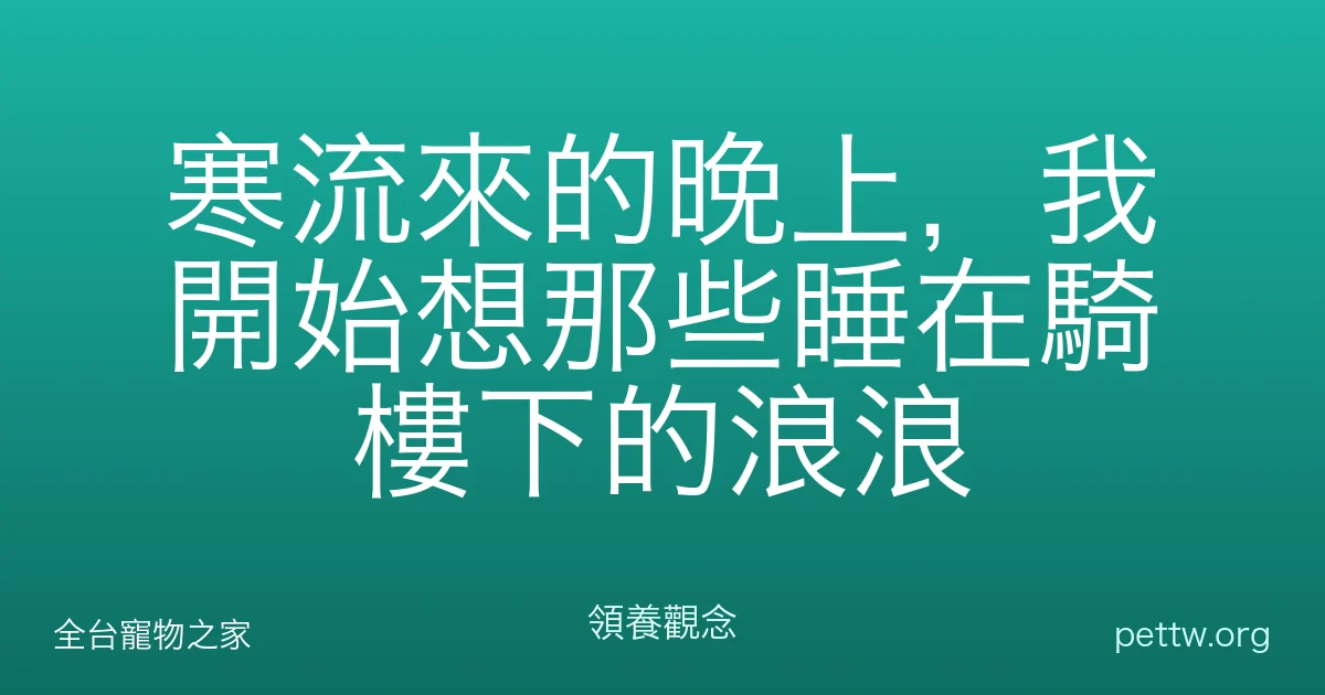 寒流來的晚上，我開始想那些睡在騎樓下的浪浪
